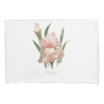 Rosa Iris