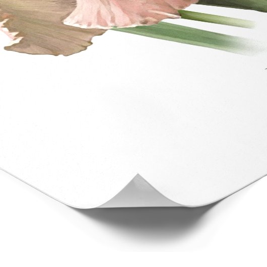 Rosa Iris Originale Kunst drucken Poster (Ecke)