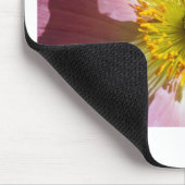 Rosa Isländisch Poppy Mousepad (Ecke)