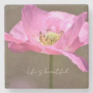 Rosa Islandmohnblume (Fotografie von mir) Steinuntersetzer