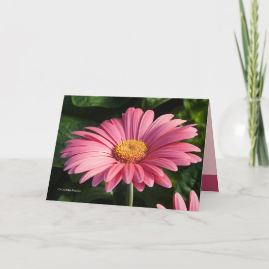 Rosa ist für die Liebe Karte (Vorderseite)