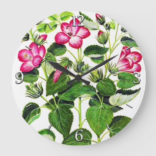 Rosa italienische Hibiskus-Blumen, Vintager Druck Große Wanduhr