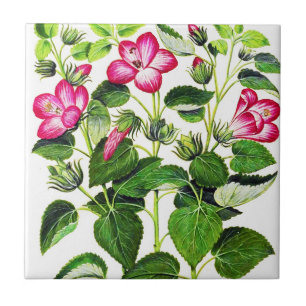 Rosa italienische Hibiskusblüten, Vintage-Druck Fliese