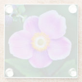 Rosa japanische Anemone Floral Glasuntersetzer (Rückseite)