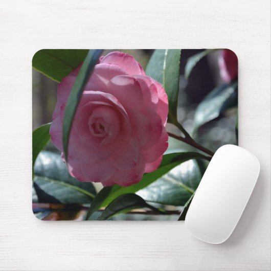 Rosa japanische Kamelie Mousepad (Mit Mouse)