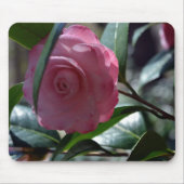 Rosa japanische Kamelie Mousepad (Vorne)