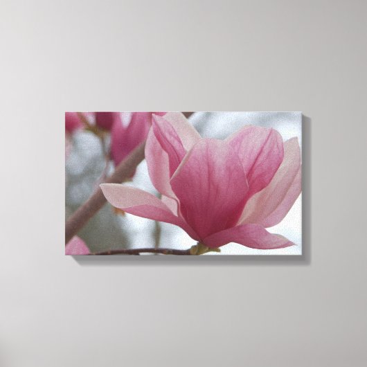 Rosa japanische Magnolia Canvas Print Leinwanddruck (Vorderseite)