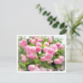 Rosa Jasmina Postkarte (Stehend Vorderseite)