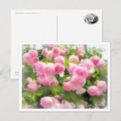 Rosa Jasmina Postkarte (Vorne/Hinten)