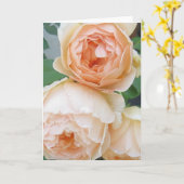 Rosa 'Jude the Obscure' blank card Karte (Gelbe Blume)