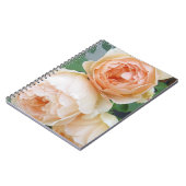 Rosa 'Jude the Obscure' Notizblock (Linke Seite)