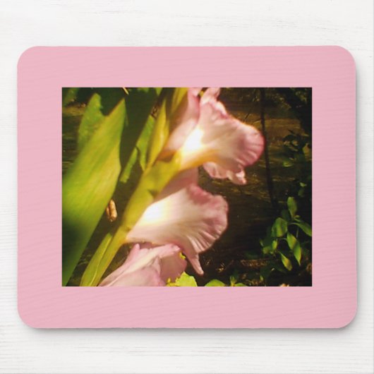 Rosa Juli Blogs Mousepad (Vorne)