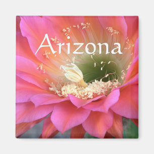 Rosa Kakteen Blume in der Wüste, Arizona Magnet