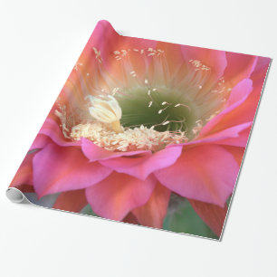 Rosa Kakteen-Blume in der Wüste Geschenkpapier