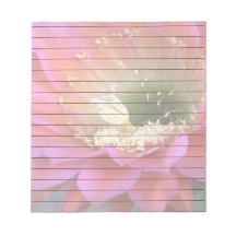 Rosa Kakteen-Blume in der Wüste