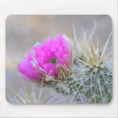 Rosa Kakteen Blüten Mousepad (Vorne)