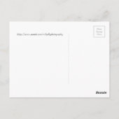 Rosa Kaktus Blume beginnt zu blühen Postkarte (Rückseite)