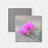 Rosa Kaktusblüte Magnet (Vorderseite/Rückseite)
