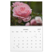 Rosa Kalender der Rosen-2010 (Jan 2027)