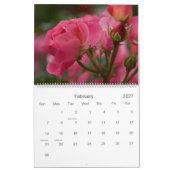 Rosa Kalender der Rosen-2010 (Feb 2027)