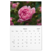 Rosa Kalender der Rosen-2010 (Mär 2027)
