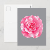 Rosa Kamelie blüht Postkarte (Vorne/Hinten)