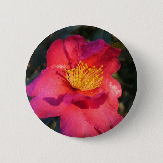 Rosa Kamelie-Blume Button (Vorderseite)
