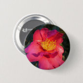 Rosa Kamelie-Blume Button (Vorne & Hinten)