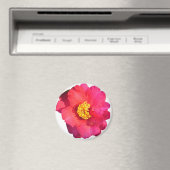 Rosa Kamelie-Blume Magnet (In Situ (Geschirrspüler))