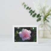 Rosa Kamelie (grenzt an) Visitenkarte (Stehend Vorderseite)