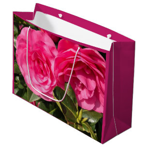 Rosa Kamelie Große Größe Geschenktüte