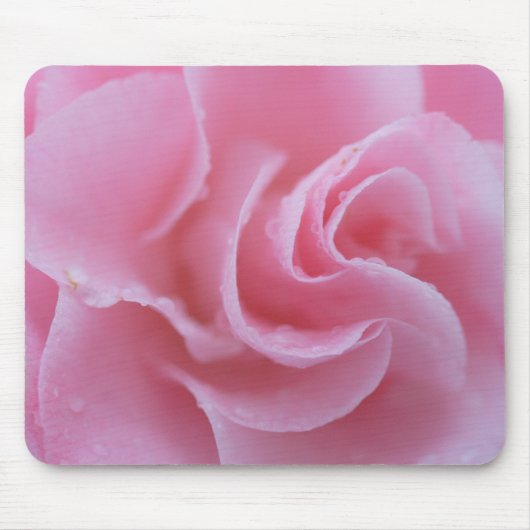 Rosa Kamelie Mousepad (Vorne)