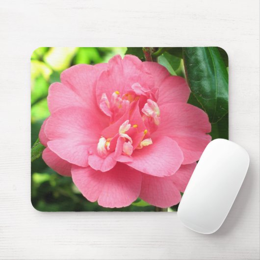Rosa Kamelie Mousepad (Mit Mouse)
