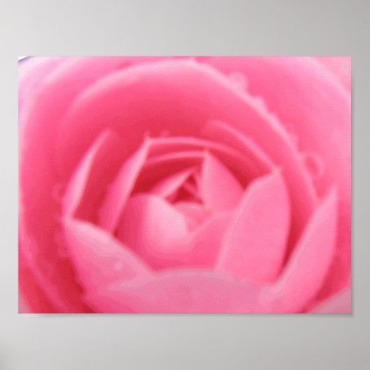 Rosa Kamelie Poster (Vorne)