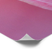 Rosa Kamelie Poster (Ecke)