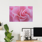 Rosa Kamelie Poster (Heimbüro)