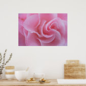 Rosa Kamelie Poster (Küche)
