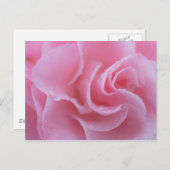 Rosa Kamelie Postkarte (Vorne/Hinten)