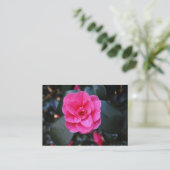Rosa Kamelie Visitenkarte (Stehend Vorderseite)