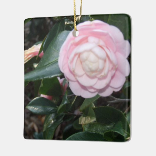 Rosa Kamelien Keramikornament (Links)