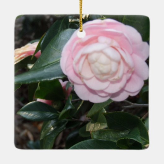 Rosa Kamelien Keramikornament (Rückseite)