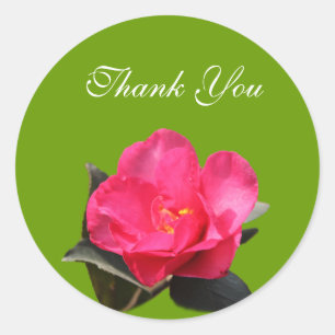 rosa Kamelienblumen Dankeaufkleber Runder Aufkleber