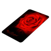 Rosa Kardinal [Flex Foto Magnet] Magnet (Linke Seite)