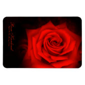 Rosa Kardinal [Flex Foto Magnet] Magnet (Horizontal)