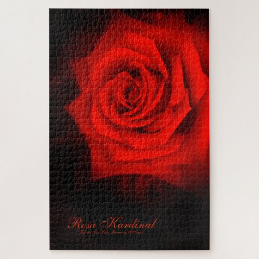 Rosa Kardinal [Jigsaw puzzle(1014 piece)] Puzzle (Vertikal)