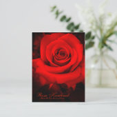 Rosa Kardinal [Postcard] Postkarte (Stehend Vorderseite)