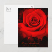 Rosa Kardinal [Postcard] Postkarte (Vorne/Hinten)