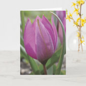 Rosa Karte Tulpe Mutter Tages (Gelbe Blume)