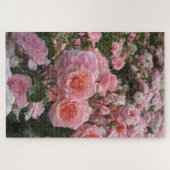Rosa ‘Kate Sheppard’ Rose Puzzle (Horizontal)