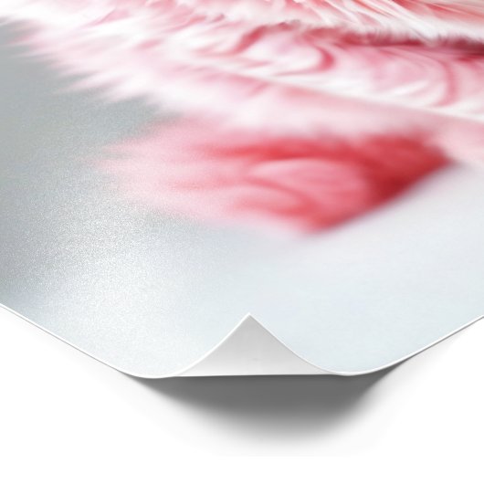 Rosa Katze Fotodruck (Ecke)